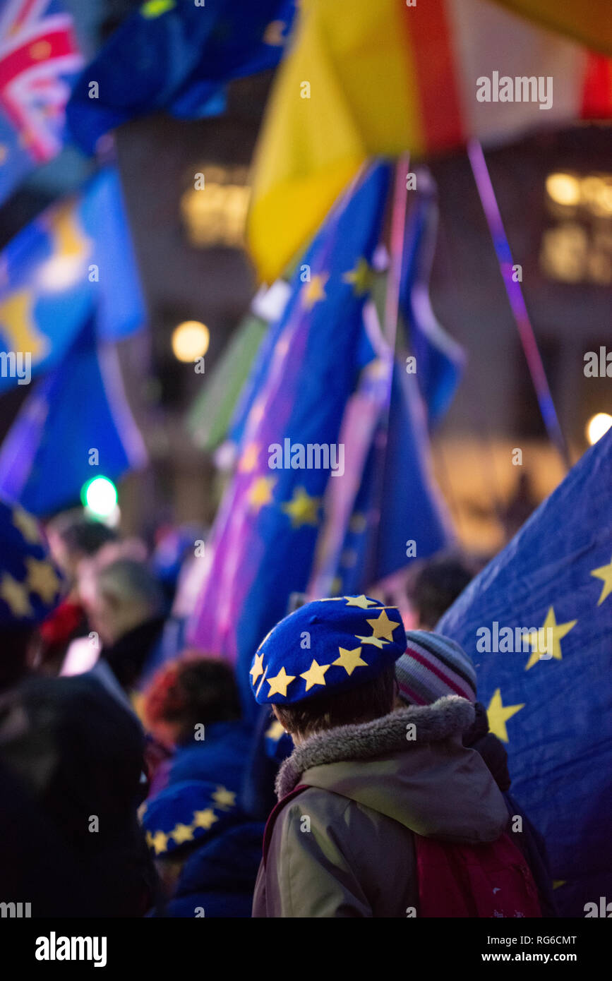 Bleiben Unterstützer mit EU-Flaggen während der Abstimmung Demonstration auf den Parliament Square, Houses of Parliament, London, UK fliegen. Stockfoto