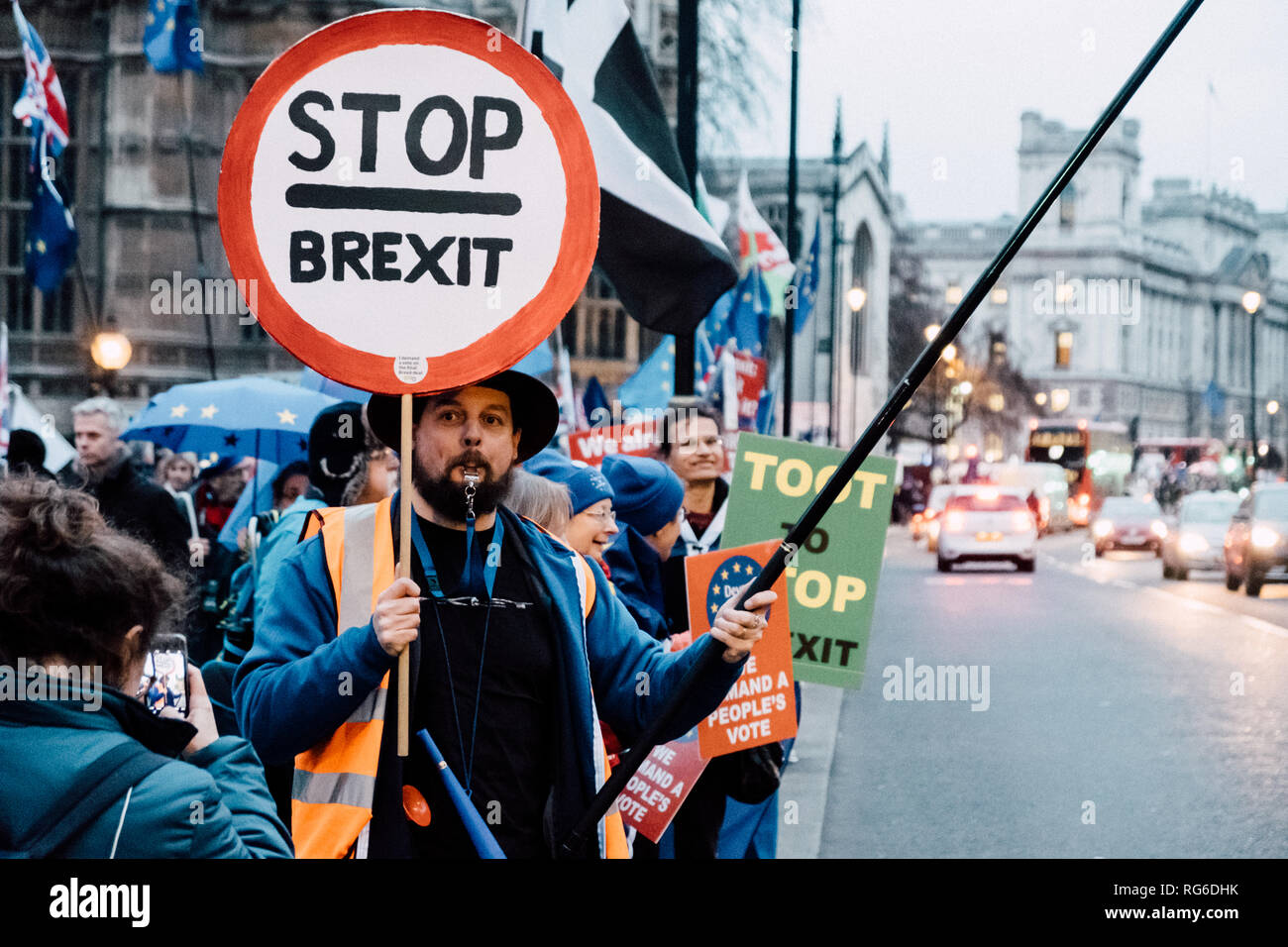 Weiterhin ein Verfechter hält ein Stop Brexit Zeichen auf einem Zebrastreifen außerhalb der Häuser des Parlaments, London Uk. Stockfoto