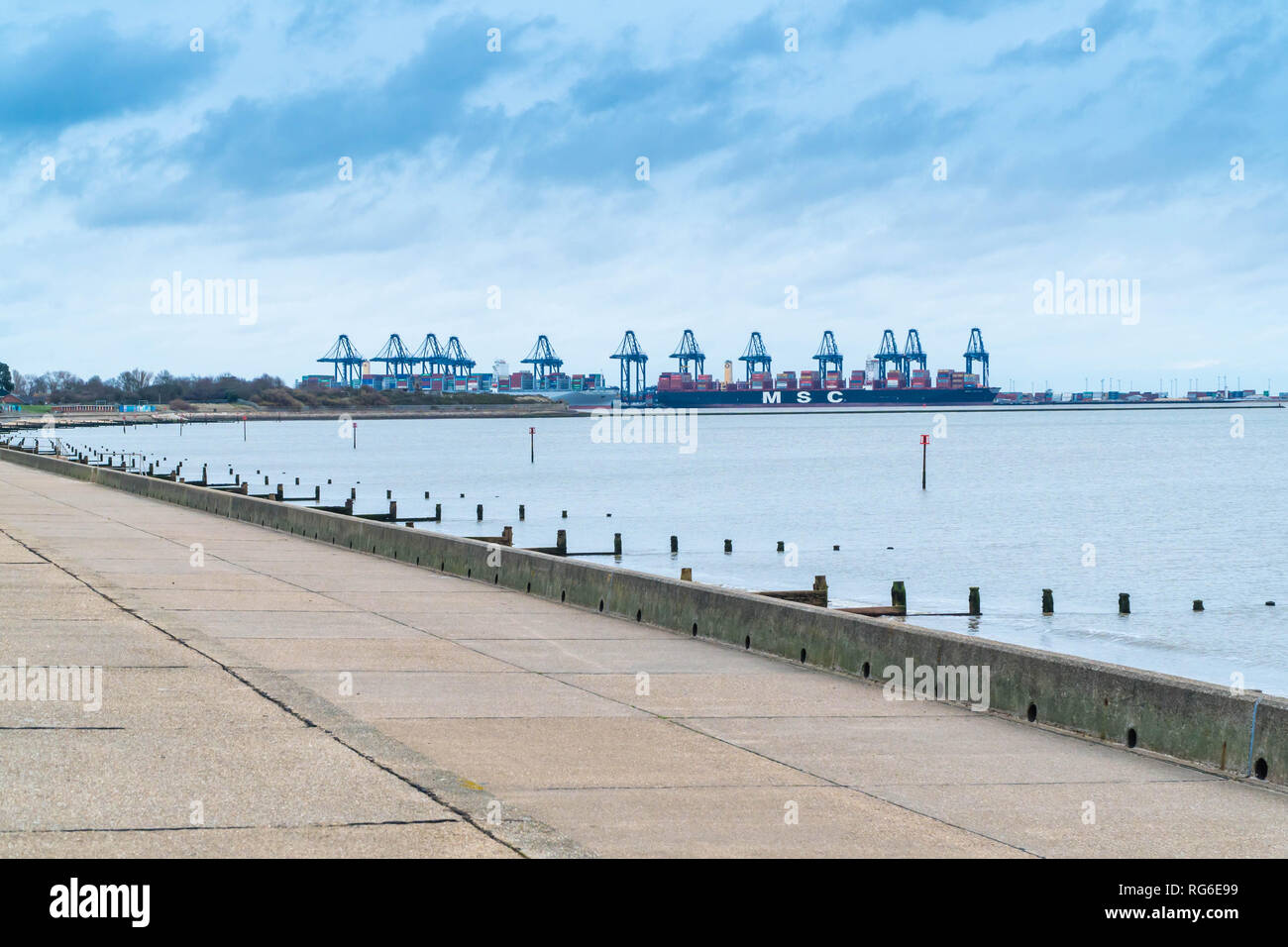 MSC Containerschifffahrt unter Krane in Harwich Hafen angedockt, Essex England UK. Januar 2019. Stockfoto