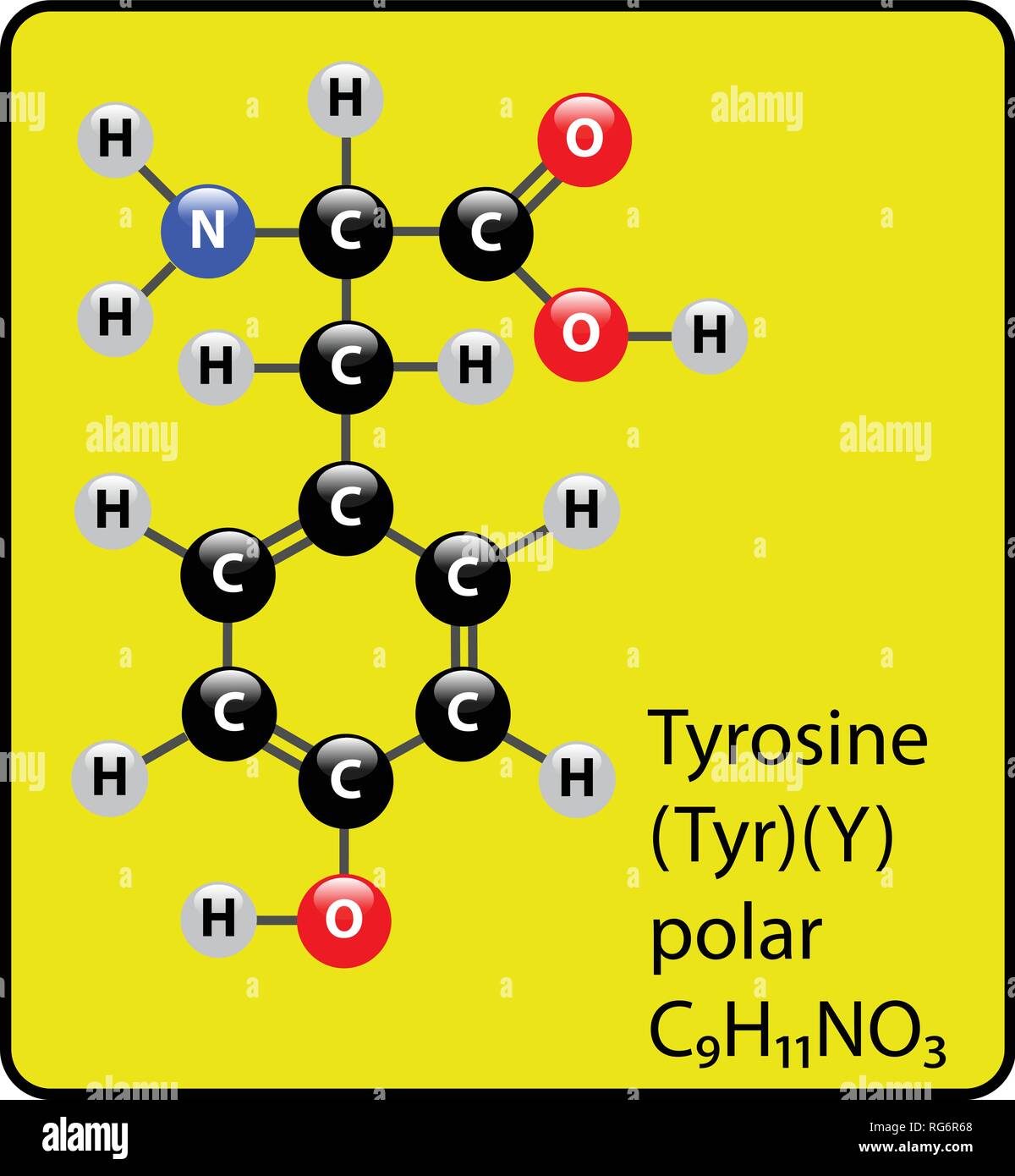 Tyrosin Amino Acid Molekül Kugel-stab-Struktur Stock Vektor