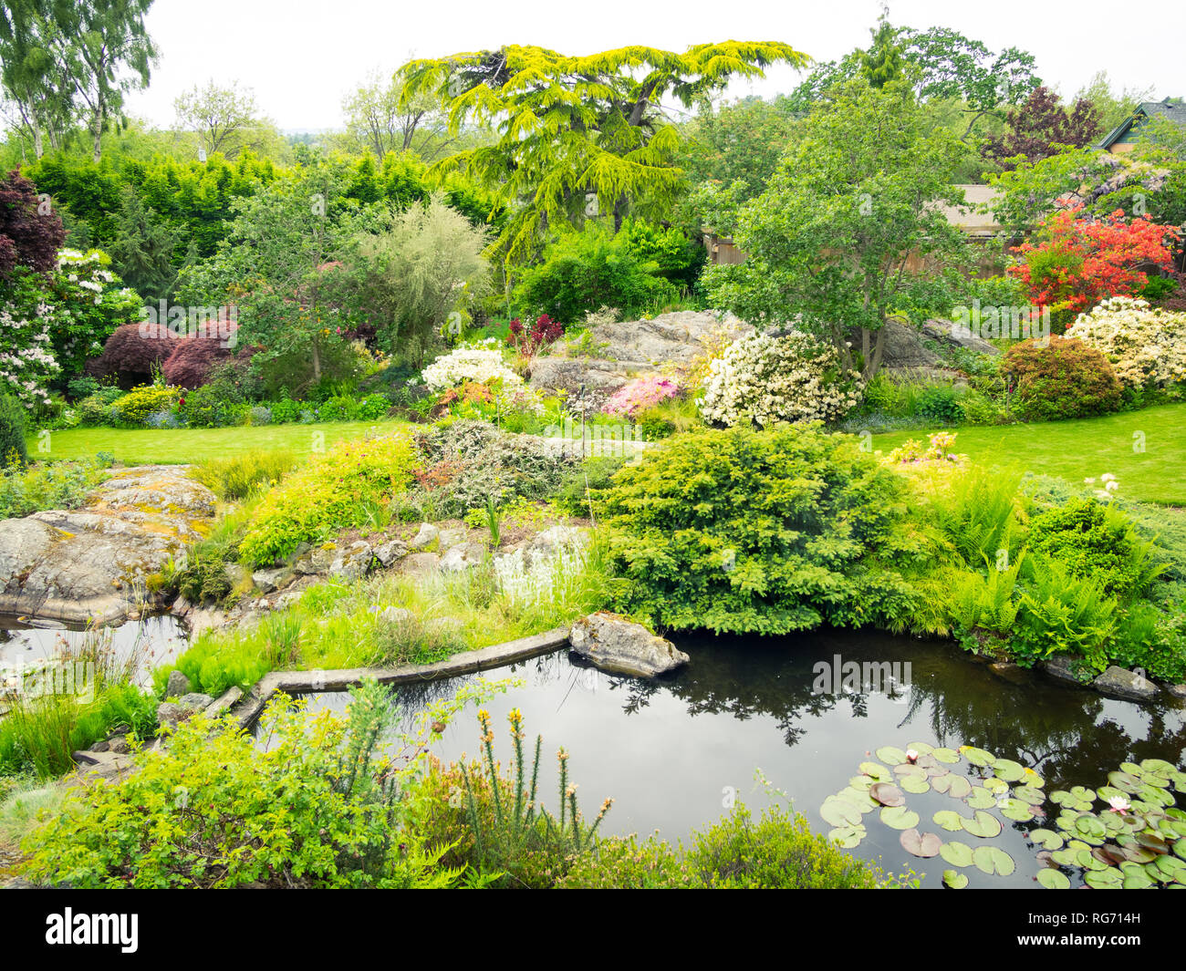 Ein Blick auf den schönen Garten (Abkhazi Abkhazi Gardens) im Frühjahr in Victoria, British Columbia, Kanada. Stockfoto