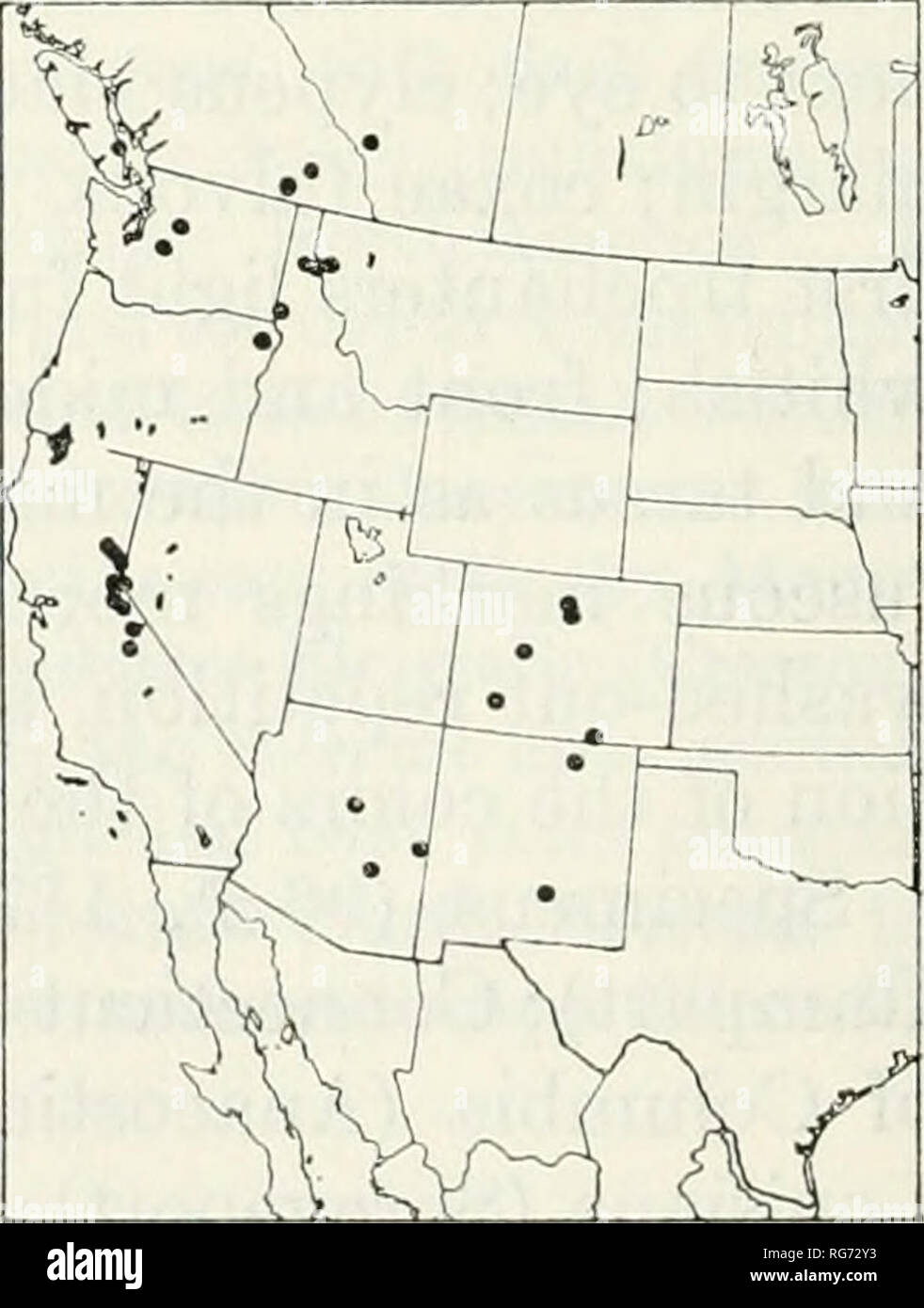 . Bulletin - United States National Museum. Wissenschaft. 212 US NATIONAL MUSEUM BULLETIN 216 (Cambridge, Cohasset, Wald, Hügel, Holliston, Humarock, Milton, Petersham, Roslindale, und Roxbury); Michigan (Aurelius, Che-boygan Co., Delta Co., Douglas Lake, East Lansing, George finden in Livingston Co., Gogebic Co., Gull See Biologische Station in Kalamazoo Co., Bügeleisen Co., Keweenaw Co., Midland Co., missaukee Co., und Presque Isle Co.); Minnesota (Chisago, Duluth, Fillmore Co., Houston Co., Itasca Park, Olmsted Co., St. Anthony Park, und Wabasha Co.); Mississippi (Oxford); New Hampshire (Francon Stockfoto