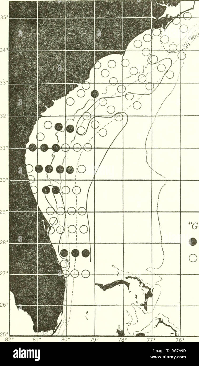 . Bulletin - United States National Museum. Wissenschaft. CAPRELLIDAE DER WESTLICHEN NORDATLANTIK 109 82° 81*. "Gill" Kreuzfahrt 3 • O Phtisica Phtisica vorhanden Nicht vorhanden 33° 30' 29" 27" 26" 25*73 Abbildung 56 - Verteilung der Phtisica Marina im Plankton Proben durchgeführt, die am Cruise 3 der M/V Theodore N. Gill. peraeopods 1-5 bilden oder zu gut entwickelter Seitenplatten united. Pleon, bestehend in der Regel 7 freie Segmente, 3 Paar pleopoden und in der Regel 3 Paaren, mindestens 1 Paar, der uropods; uropod 1 immer mit 2 Rami. Augen unterschiedlicher Größe und Form, 0-4 an der Zahl. Funktionsstörungen der Leber und der Bauchspeicheldrüse Rohre 4, ra Stockfoto