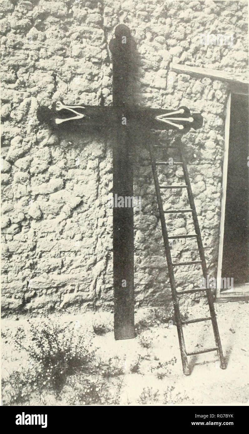 . Bulletin - United States National Museum. Wissenschaft. Gegenüber Abbildung 15. Penitente Kreuze {maderos) ix. Größen: schwarzes Kreuz 269.2 cm hoch (Abbildung 16); Obergrenze Boards 2.5 von 15; maderos 345 lang. Datum: 20. Herkunft: New York, nicht identifizierte Tischler. Lage: Südlich morada, nordöstliche Ecke. Beschreibung: schwarze Kandelaber (tenebrario), Petroleum Laternen, Zinn, Holz Fass und Feld unter der Tabelle. Abbildung 16. Kreuz und Leiter {ctuz und e Scaler a). Größe: 269.2 cm hoch. Datum: Viertes Quartal des 19. Jahrhunderts. Herkunft: New York, nicht identifizierte Tischler. Stockfoto