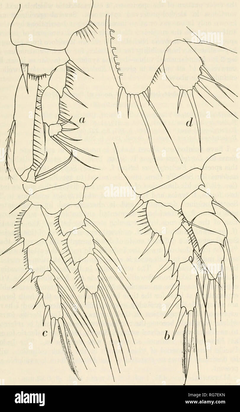 . Bulletin - United States National Museum. Wissenschaft. COPEPODA aus IFALUK ATOLL 153. Abbildung SS.-Dactylopusia tishoides (Claus), Loc 590, Ad. ?: A, Leg 1; h, Leg2; c3; d, Bein, Bein 5. (X625). Bitte beachten Sie, dass diese Bilder sind von der gescannten Seite Bilder, die digital für die Lesbarkeit verbessert haben mögen - Färbung und Aussehen dieser Abbildungen können nicht perfekt dem Original ähneln. extrahiert. United States National Museum, Smithsonian Institution, Usa. Abt. des Innenraums. Washington: Smithsonian Institution Press, [etc. ]; Für Verkauf durch die Supp. von Docs. , U. S Stockfoto