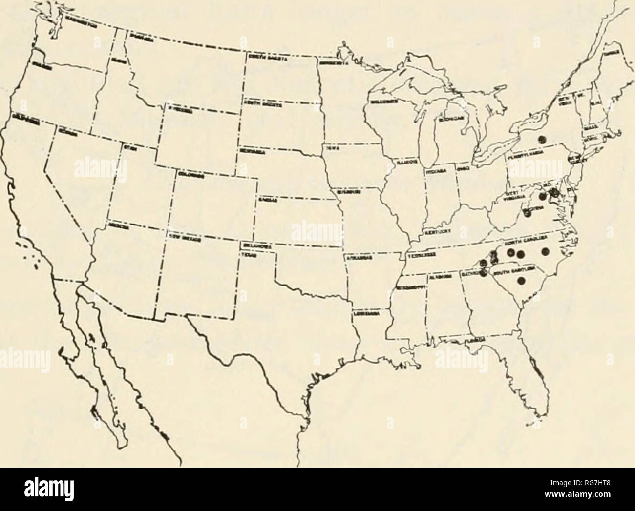 . Bulletin - United States National Museum. Wissenschaft. pepsinae: Stamm pepsini 15 2.0 so lang wie breit; dorsale Gesicht des Halsschildes ca. 0,3 so lang wie breit. Schwarz. Behaarung schwärzlich; forewing mäßig infuscate, die hinterflügel ein wenig heller. Proben (45 c?', 189): aus Georgien (Neel Lücke und Rabun Kahl), Maryland (Cabin John, Glen Echo, und Plummers Insel); New York (Ithaca); North Carolina (Kanton, Hickory, Highlands, Hot Springs, Mount Mitchell bei 6.400 ft. Mount Pisgah auf 4600 ft. und bei 5.000 bis 5.749 ft., Raleigh); South Carolina (Columbia); Virginia (Tot laufen, Great Falls, Skyline Stockfoto