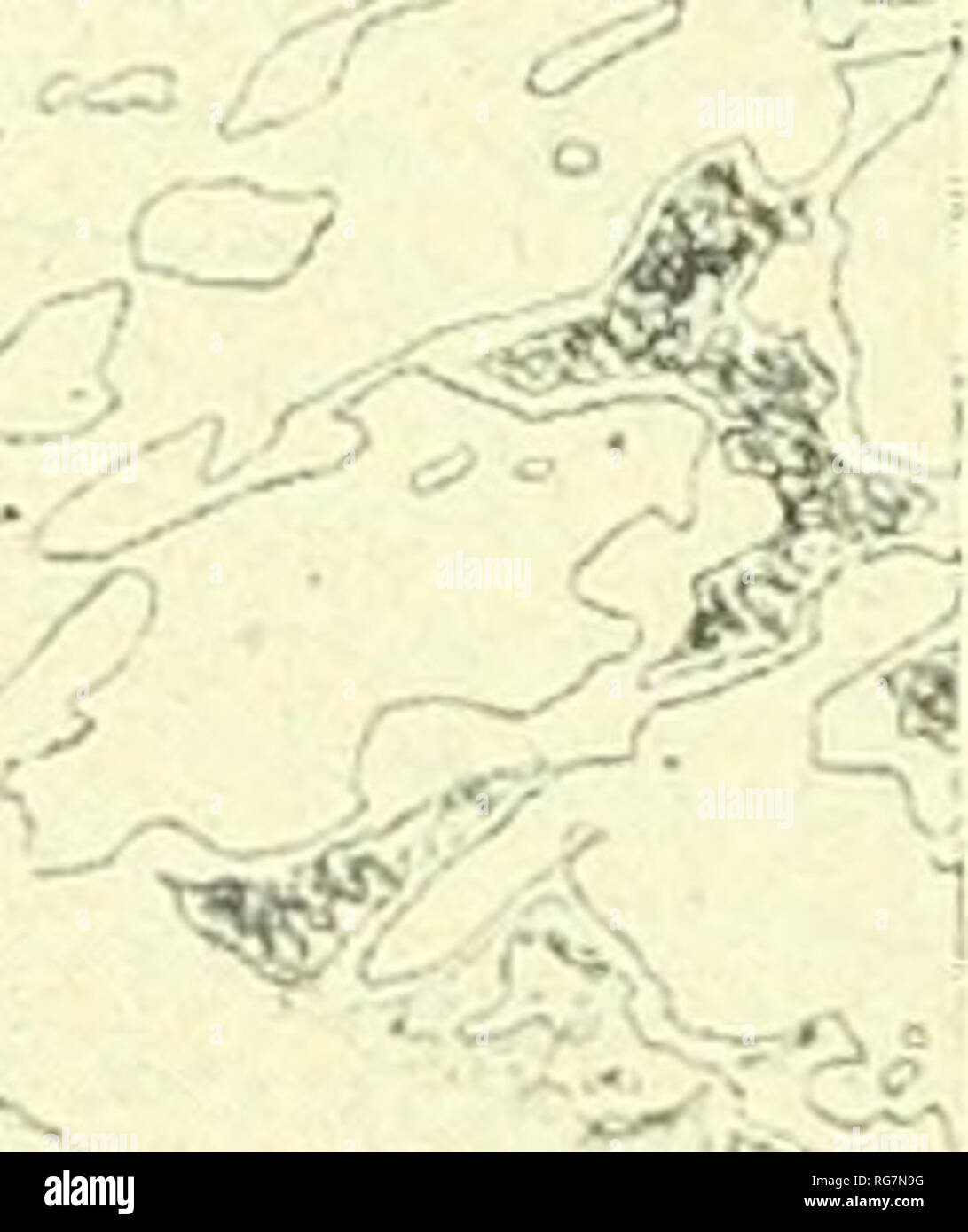 . Bulletin - United States National Museum. Wissenschaft. Us NATIONAL MUSEUM BULLETIN 184 Platte 16 w. ^3^^ -.- r^. Vv -- o-^^ R. "•: Fe3^^^^ Laurens County Meteoriten.. Bitte beachten Sie, dass diese Bilder sind von der gescannten Seite Bilder, die digital für die Lesbarkeit verbessert haben mögen - Färbung und Aussehen dieser Abbildungen können nicht perfekt dem Original ähneln. extrahiert. United States National Museum, Smithsonian Institution, Usa. Abt. des Innenraums. Washington: Smithsonian Institution Press, [etc. ]; Für Verkauf durch die Supp. von Docs. , Us Govt Drucken. O Stockfoto