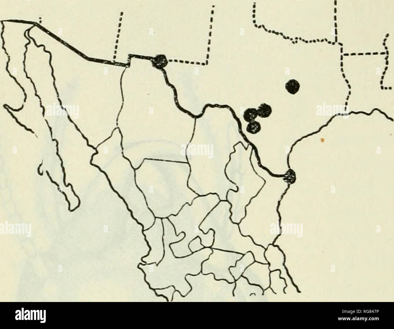 . Bulletin - United States National Museum. Wissenschaft. 62 BULLETIN 108, UNITED STATES NATIONAL MUSEUM. Abb. 46. - Verteilung der Amitermes Wheeleri. Geflügelte Form unbekannt. Tritt in vielen Orten in Texas. Von Snyder wie folgt erhoben: Brownsville, Cameron County; Addison, Lasalle County; San Antonio; Bexar Count}^; Uvalde, Chalk Bluff, und Laguna, Uvalde County, und El Paso El Paso County. (Abb. 46.) Babybett 3^pes sind im American Museum Natural History (Kom-PARED), AMITERMES CALIFORNICUS, neue Arten. Soldat.-gelblich; Bauch, grau; Beine, weißlich; Kiefer, von basalen Drittel, rot-braun; Stockfoto
