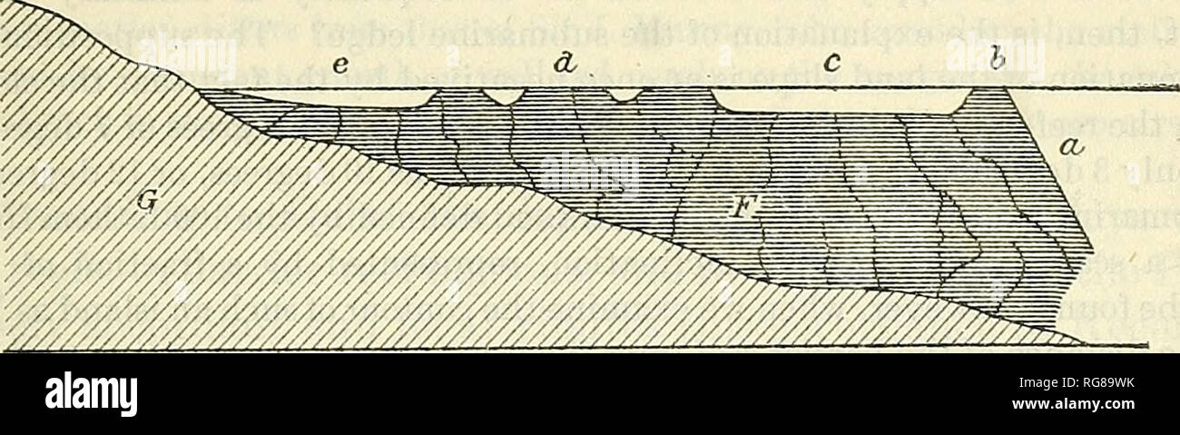 . Bulletin - United States National Museum. Wissenschaft. Geologie und Paläontologie DER CANAL ZONE. Er fügt hinzu, jedoch. 243 * * * Aber wie wir gesehen haben, die größeren Gruppen von Atollen im Pazifik und im Indischen Ozean haben sich nicht auf die Banken dieser Art gebildet. l. Abb. 6. Die Vervielfältigung von J. B. Jukes" über dem Great Barrier Reef in Australien, ein. Meer außerhalb des. Barriere, meist unergründlich. 6. Die eigentliche Barriere, C. Klar Chan- nel IN DER BARRIERE, in der Regel über 15 oder 20 Klafter tief. d. Die innere REEF. C. SHOAL KANAL ZWISCHEN DER INNEREN RIFF UND DER KÜSTE. F. in der Erwägung, dass die großen Stützpfeiler bei der CAL Stockfoto