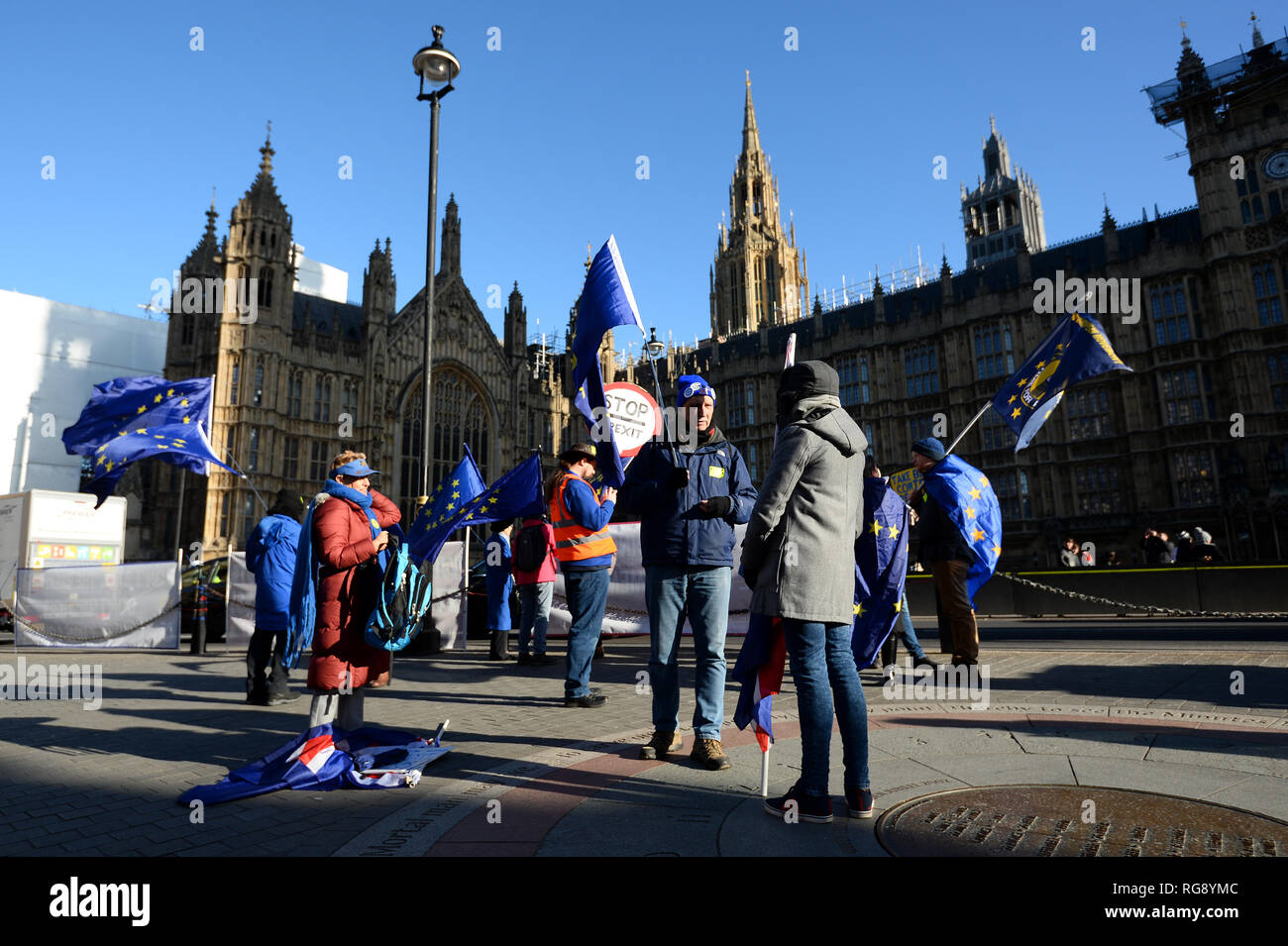 Anti-Brexit Mitkämpfer wave Europäische Union Flaggen außerhalb der Häuser des Parlaments in London. Stockfoto