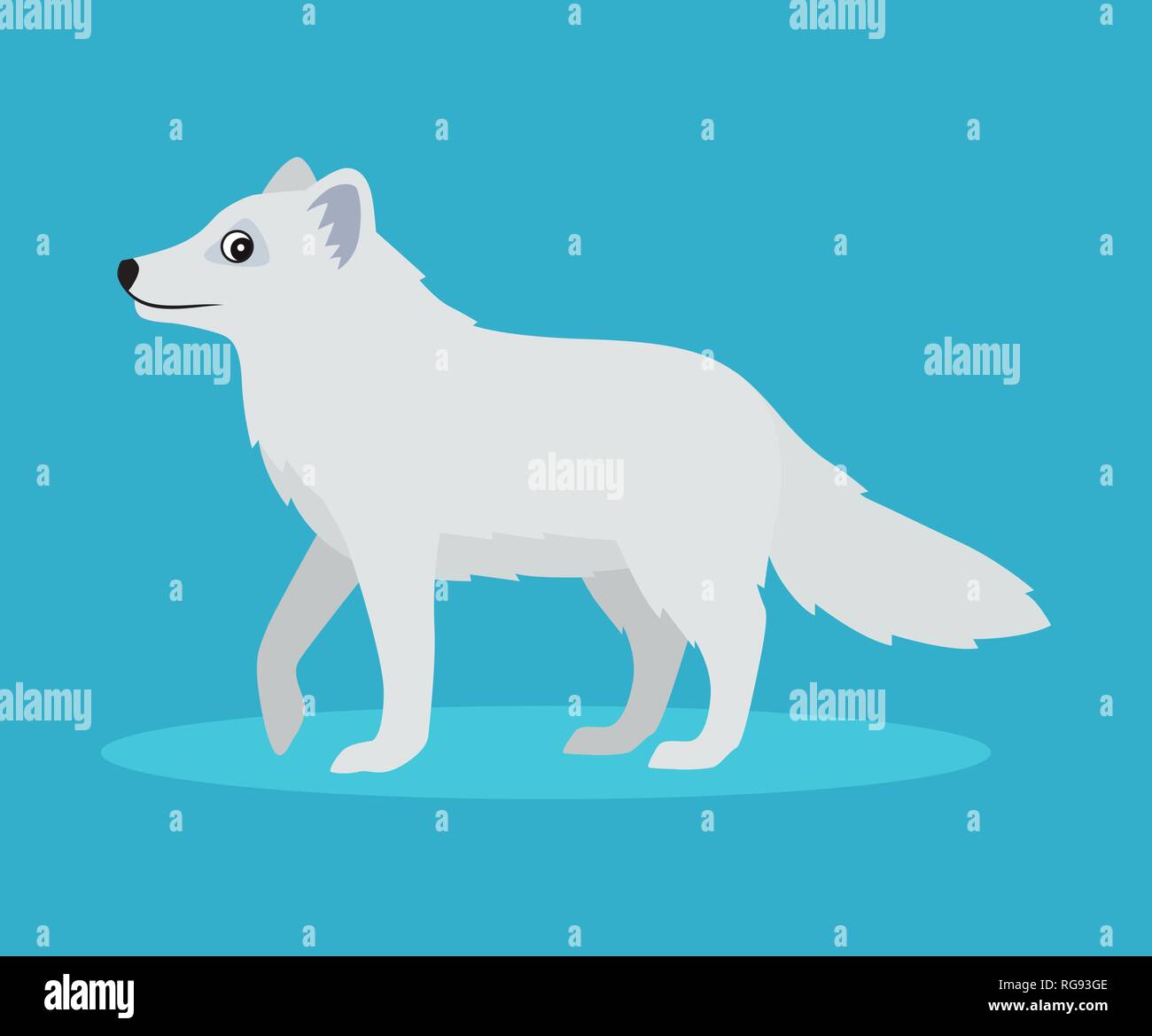 Cute Arctic fox oder polar fox Symbol auf blauem Hintergrund isoliert, wilde Schnee haarige Biest, Vector Illustration im flachen Stil. Stock Vektor