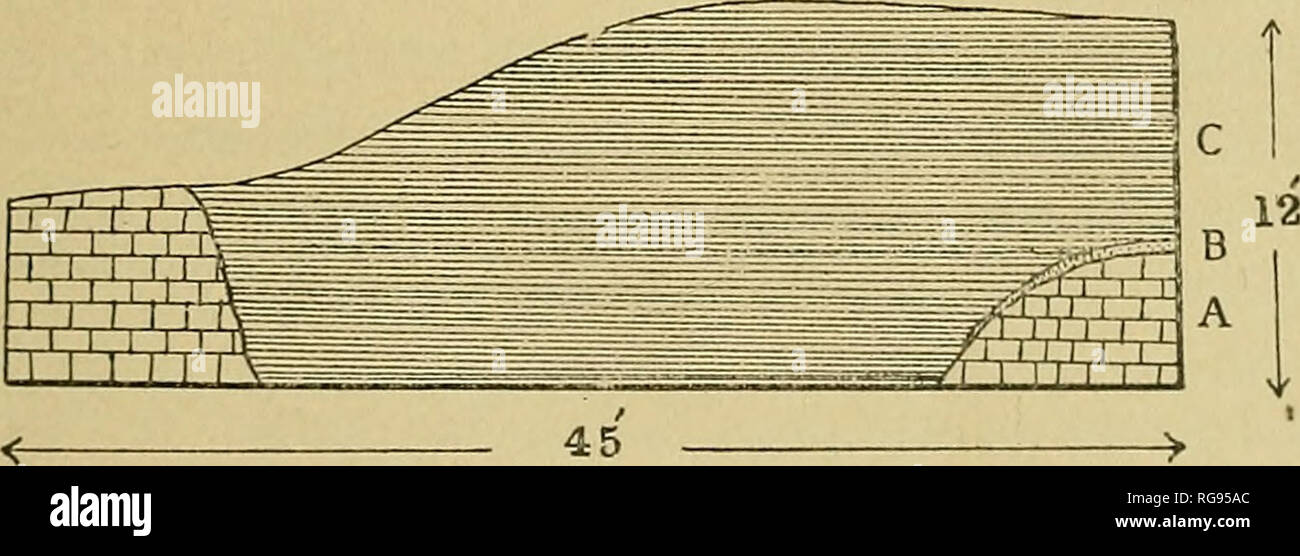 . Bulletins der amerikanischen Paläontologie. 155 Dp: vonian von SorTHKKN Indiana Diese Sellersbur&lt; j-Betten sind ganz wollen "liere. Die Devonischen Kalkstein der oben se (5 Lion proi ^ abl-}^ Nicht zwei Fuß in der Dicke nicht überschreiten. Es gewährt - Die follovin&lt;^Fossilien: Sfation 2 jA. - Bäche laufen. AFlinopteria Atrypa sp., reticularis a, CamaroUrchia sp., Liclw - nalia sp., Orthis vanuxemi r, Pcntamcrclla arata r, Phacops Rana, Plaiyccras sp., Platyostoma ProduBella spiniilicosta lincatuvi C, R, C, Riiipidomella Proctus crassiniarginahis Livia r, Spirifer divari-Catus r, Spirifer Jimbriatus r, Spiri Stockfoto