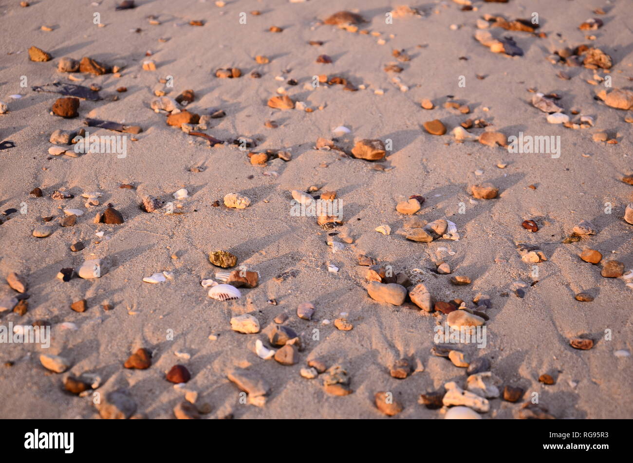 An den Strand gespülte Steine und Muscheln im Abendlicht in Thailand Stockfoto