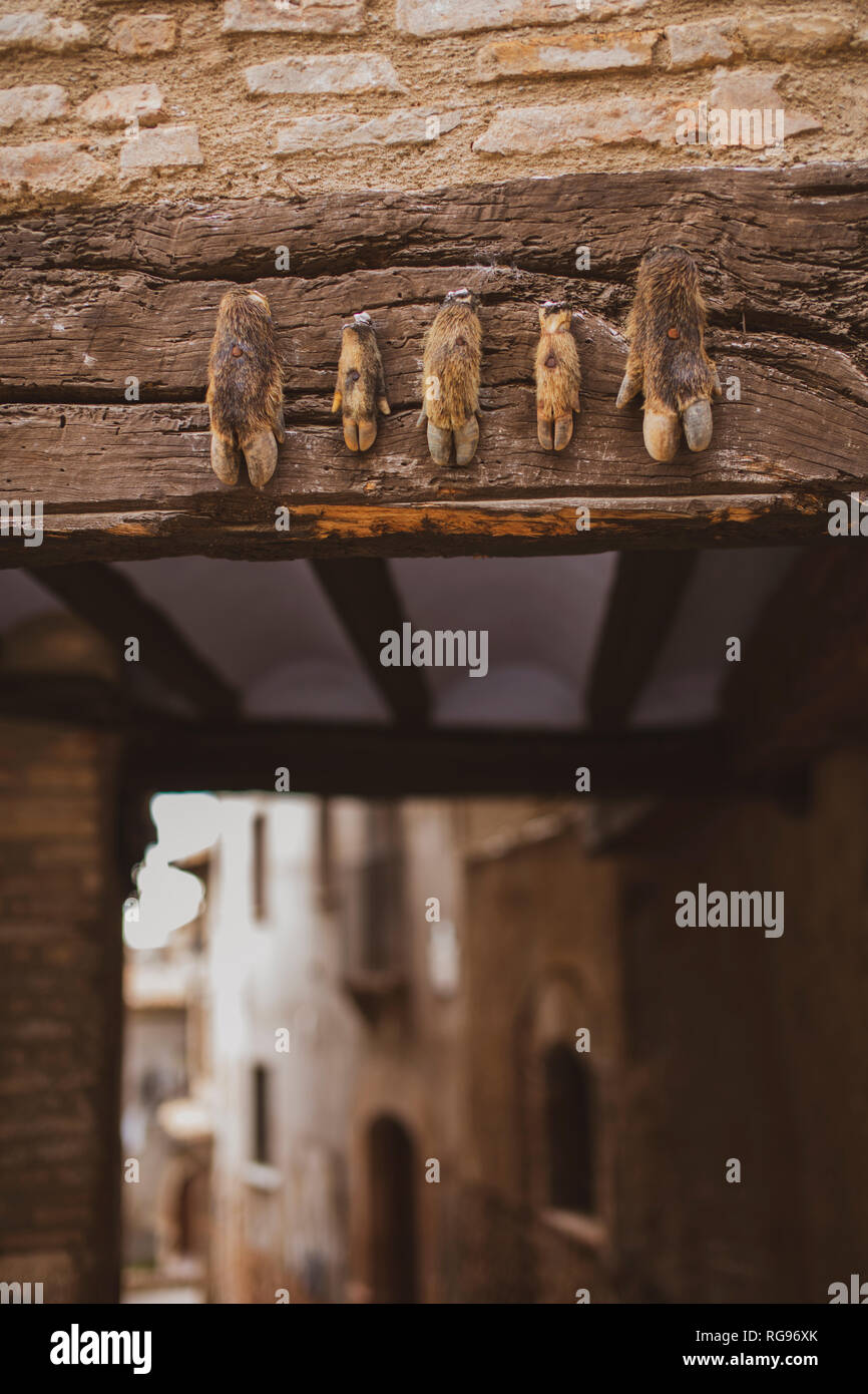 Spanien, Alquezar, tierischen Klauen an einer Wand genagelt Stockfoto