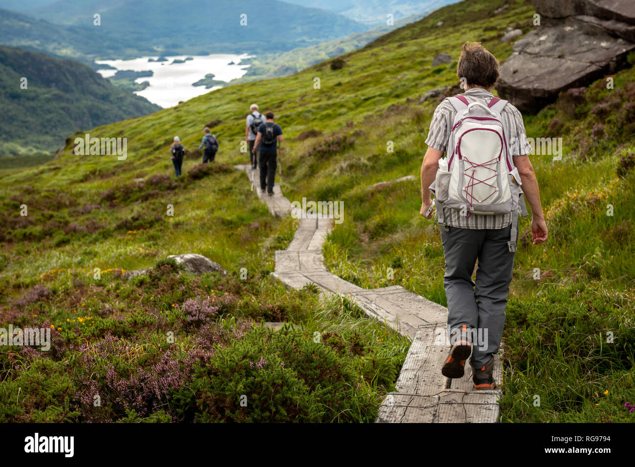 Irland Wandern. Gruppe von Wandertouristen, die auf dem Boardwalk-Fußweg den Torc-Bergweg hinunter mit Blick auf den Upper Lake in Co. Kerry, Irland, absteigen. Stockfoto
