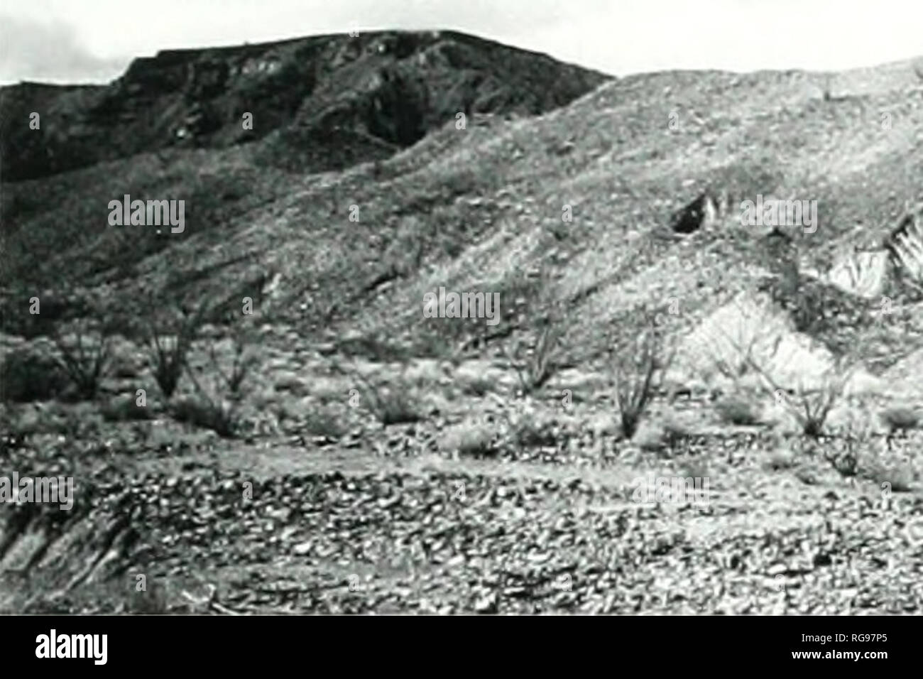 . Bulletins der amerikanischen Paläontologie. Baja California Stratigraphie: Carreno und Smith 71. J^^"-Text-tigurc 44. uerteLiU âI')^ Foniuuioii. Blick von miuiIi uI'Ar-rciyo El Cunelo in Richtung Mesa el Tabario (dunkle Felsen in zurück Links - Masse). Eine geschweißte Vorliek. 5,9 ±0,2 Ma al seine Unterseite und.^ .1 ± i).5 an seiner Oberseite. caps Die niesa (Sommer und Garcia. 1970). Foto, J.T. Smith. I4S 7. Ar'" Alter von 8,6 ±0,5 Ma (Nagy. 1997). Weitere ol-caniclastic Breccia überlagert der Ba. sement Sequenz und hat eine Ai-"'/Ar'" Alter von 15,5 ± 0,5 16,1 ± 0,5 Ma (CI-cil.. 1 W4 |. Tuff von San Felipe. Middl Stockfoto