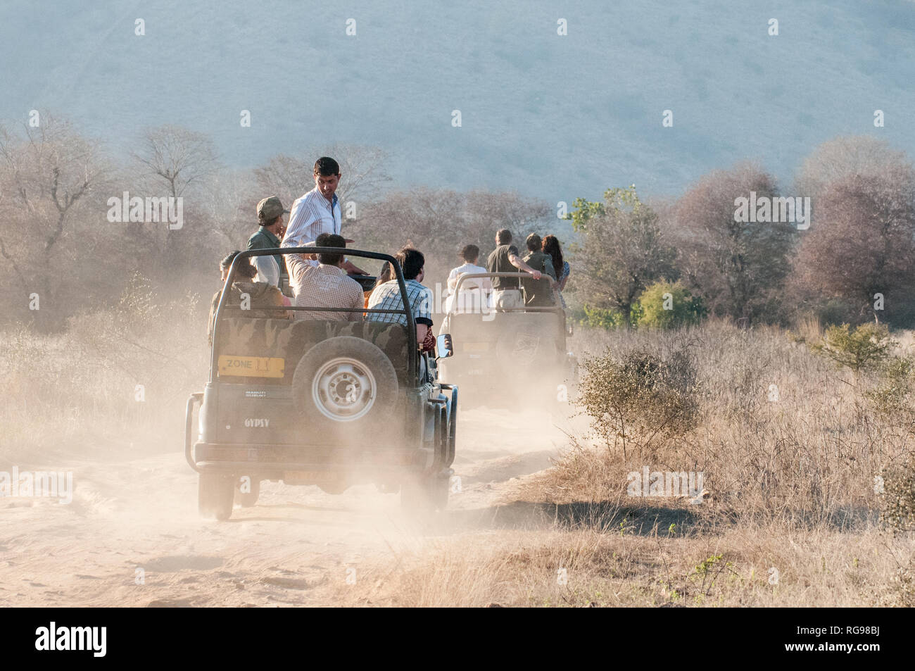 Safari im Ranthambore Nationalpark in Rajasthan, Indien Stockfoto