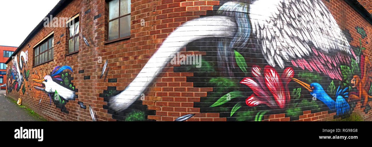 Emerica Werk arbeitet, Vogel Kunst, Cross Keys St, Northern Quarter, Manchester, Stadtzentrum, North West England, UK, M 4 5 ET Stockfoto