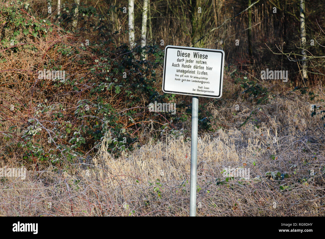 Essen, Ruhrgebiet, Nordrhein-Westfalen, Deutschland - Informationen Zeichen für die Stadt Essen, Hund Wiese, Hunde sind erlaubt, entfesselt zu gehen. Essen, Ruhrg Stockfoto