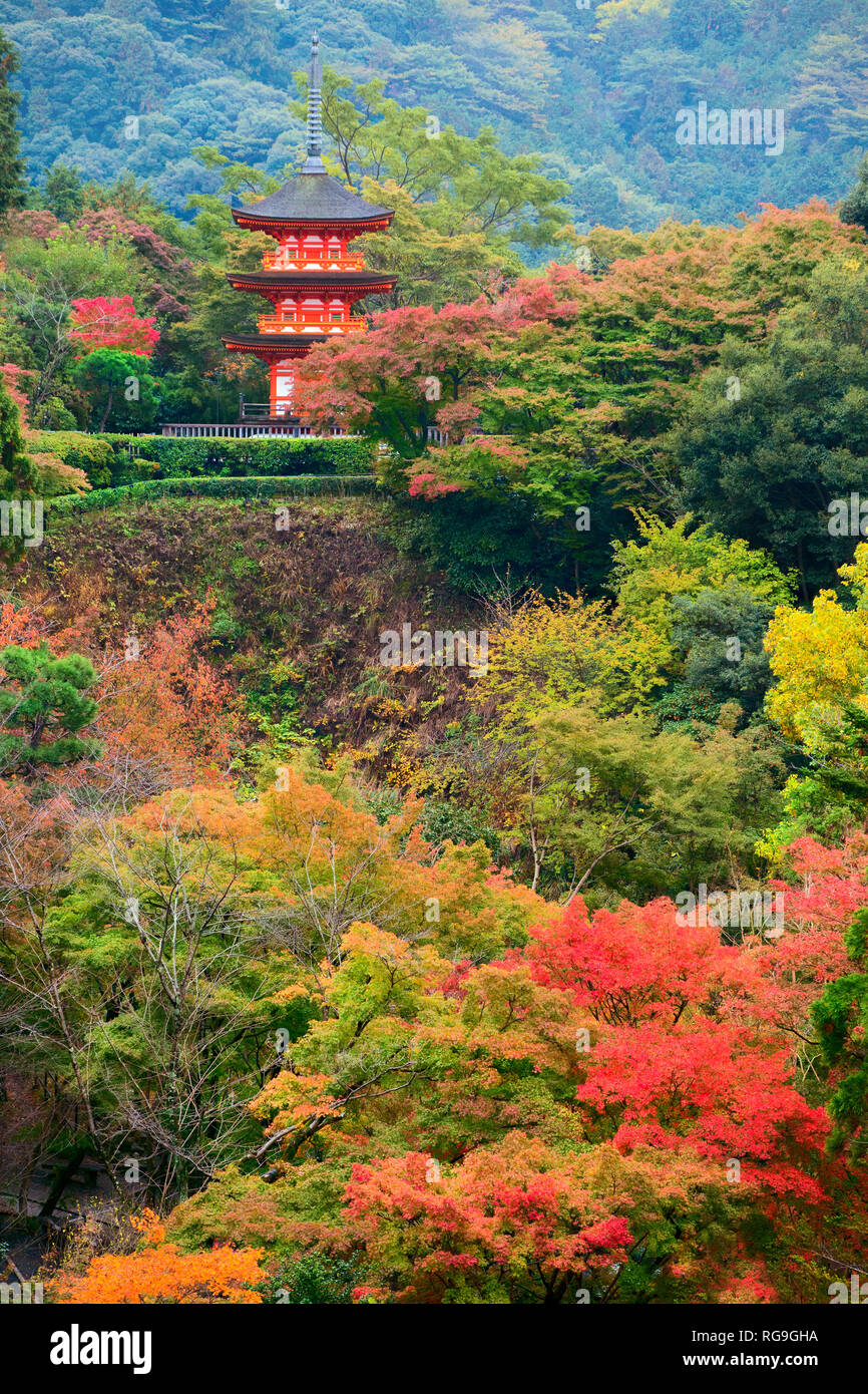 Koyasu Pagode am Kiyomizu-dera Tempel in der Herbstsaison, Kyoto Stockfoto