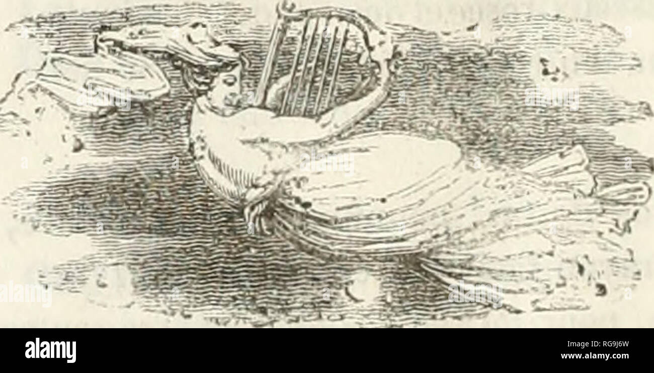 . Bulletin SociÃ©tÃ© Agricole, Scientifique et Litteraire des Pyrenees-Orientales. 408 Que v-oulez-vous, Seigneur? Et Quelle loi suprÃªme, Pour instruire le cÅur, Frappe ce qu'il Aime tout! Quel sanglot Manque-t-il À cet Hymne sans lin OÃ¹ chacune de nous quelques ajoute Larmes! Quelle fibre de l'Ã¢Rae, à l'abri des Alarmes, N'a pas cncor payÃ © Sohn Tribut au Destin! Ange et Femme, Ã © ternel et fatal Assemblage! Pauvre oiseau, meurtri des fers de l'esclavage tout, Et qui Voit, à Travers son austÃ ¨ re Gefängnis, Sohn des Paradis d'Amour, Sohn ciel bleu, le feuillage D'oÃ¹ s'Ã©chappa l'Accord de Sohn pr Stockfoto