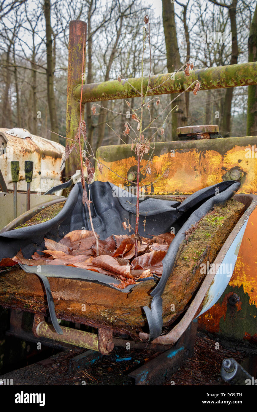 Blatt ausgefüllt, Schaum-basierten Traktor Sitz, also unbenutzt, es gibt Pflanzen herauswächst. Stockfoto