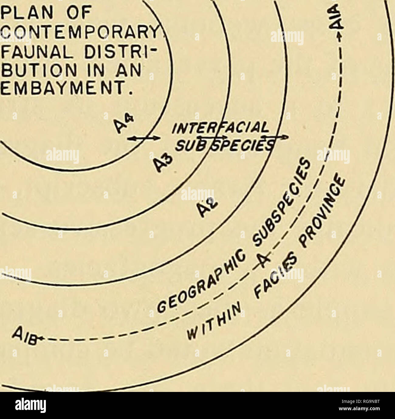 . Bulletins der amerikanischen Paläontologie. 33 BULI. ETIN 71 33 Das normale geographische Unterarten von Current Biology. Die Arten, die in einigen Fällen dringt angrenzenden Fazies Provinzen oder Habitate. AZVB Avii" / ll A2 VI Avi VI A 2 V Av% • V GRENZFLÄCHEN UNTERARTEN AAV AIV IV A2-III bin II ZEIGEN DIE GROSSEN FAUNA 2 II Au ELEMENTE DER REG-RESSIONAL ÜBERSCHNEIDEN SICH IN EINEN QUERSCHNITT DES PARVAFACIE Az S. PLANARE MERIDIONALE PROJEKTION. Abvii+Avii Avavm^ AiliAVii Avi-f AvAVi Aiiiavi ^^r-T-r-AiiiBV + Av-AvA+AiiiAv AltlAIV, ABLEITUNG VON EIN PAAR DER MUTANTEN INNERHALB EINES GENS IN EINER Stockfoto
