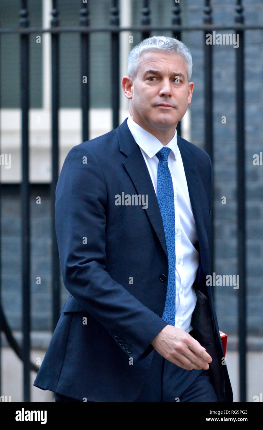 Steve Barclay MP - Staatssekretär für den Austritt aus der Europäischen Union - verlässt die Downing Street nach einer Kabinettssitzung, 22.01.2019 Stockfoto