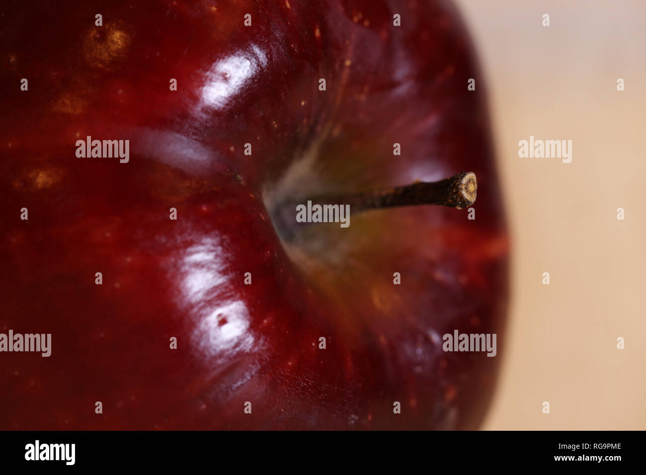 Makro Foto eines Red Delicious Apple. Schöne Nahaufnahme zeigt die Details dieser Frucht. Farbe Bild. Stockfoto