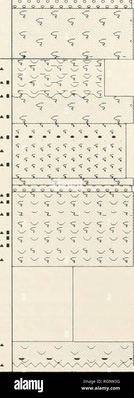 . Bulletins der amerikanischen Paläontologie. 318 Bulletin 357 BOCAS DEL TORO BECKEN SEC-t Ich oi-i1^Va I I en "t" e Pen ich nsu ICH ein, Tono Cays 55 0 51 0 53 0 52 0 51 0 50 0 19 0 18 0 17 0 16 0 15 0 11 0 13 0 12 0 11 0 10 0 33 D 38 0 37 0 36 0 35 0 31 0 33 0 32 D 31 0 3 D 0 29 0 28 0 27 0 2 B 0 25 0 21 0 23 0 ZZ 0 21 0 ZO 0 19 0 18 0 17 0 16 0 15 0 11 0 13 0 12 0 iJl 0 10 0 9 0 B 0 7 0 &Amp; 0 5 0 PPP-Nummer LIthoIogy Beschreibung m OQQQQQOOOginnn 1895 1 G% ISSB 1999 1900 1905 1906 1907 190B" r^^ Ich - '-'^S" - "^% '-'^'" -^.^ - ^^ ^. -. '&Gt;^&gt;Â"*, "T^-* 5 i: v*i:^: SL SL Stockfoto