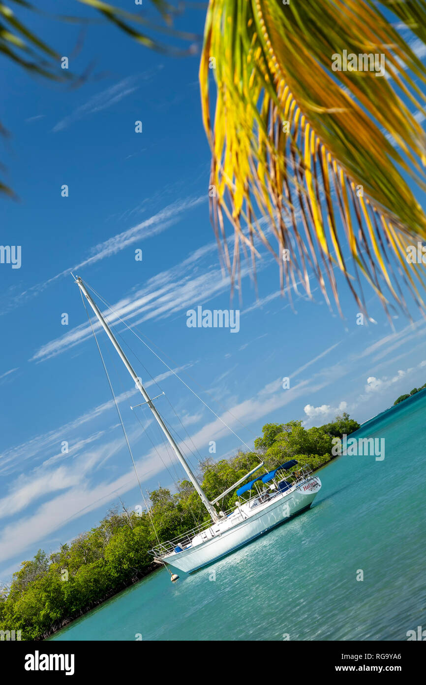 Segelboot, La Parguera, Puerto Rico Stockfoto