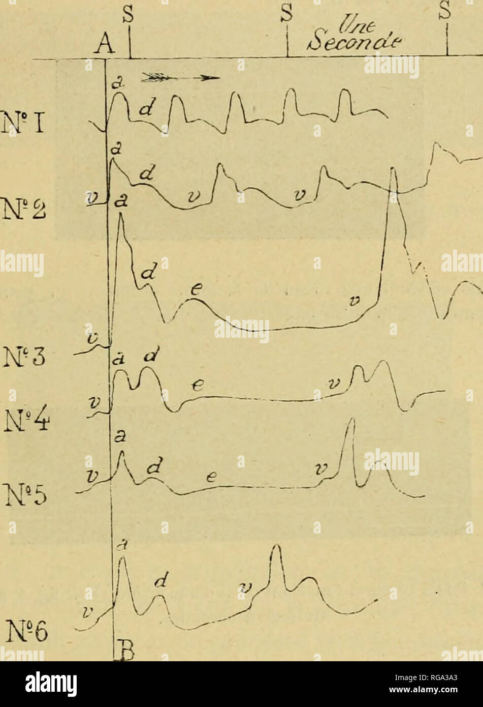 soula stockfotos und bilder kaufen alamy
