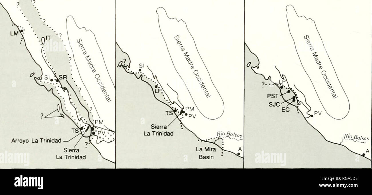 . Bulletins der amerikanischen Paläontologie. c. Mittleres Miozän - frühen Miozän (15-8 Ma) SWP VPM Arroyo La Trinidad -^-^ Sierra La Trinidad d. Früh - frühen Mittleren Miozän (23.7-15 Ma) e. Oligozän (30-23,7 Ma). Tet-ligiire 35 - Paleogeogniphy ot der Baja Cililoniia PL' niiisula und alten Golf iit Calilornia. Karte auf Ausschüttungen auf ot Oligozän zu Holocene marine mollusl&lt;s und der damit verbundenen microfossil und radiometrischen Daten. Karte nach J.T. Smith (19 Mc: tig. 5), der AAPG 1491 gedruckt mit Genehmigung der amerikanischen Vereinigung der Petroleum Geologen, deren Berechtigung ist erforderlich, Stockfoto