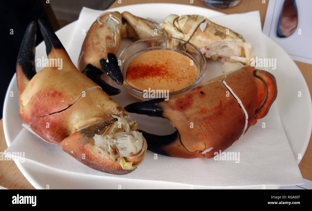 Riesige, frisch, Crab Claws wie diese können an der berühmten Loch Fyne Austern Bar am Ufer des Loch Fyne im Westen von Schottland gekauft werden. Alan Wylie/ALAMY. © Stockfoto