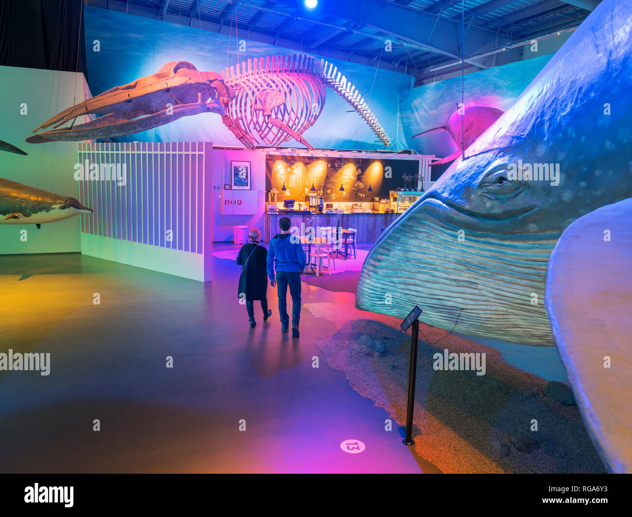 Walmuseum, Reykjavik, Island Stockfoto