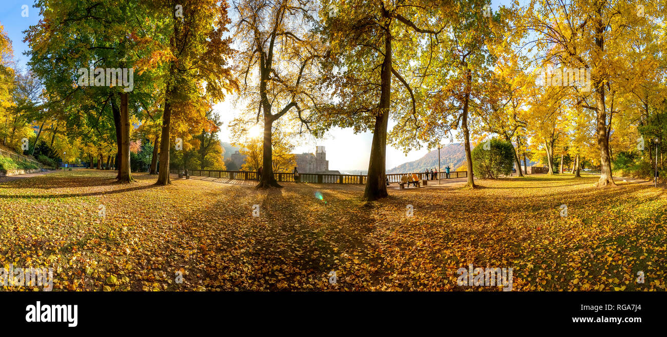 Deutschland, Baden-Württemberg, Heidelberg, den Schlossgarten im Herbst Stockfoto