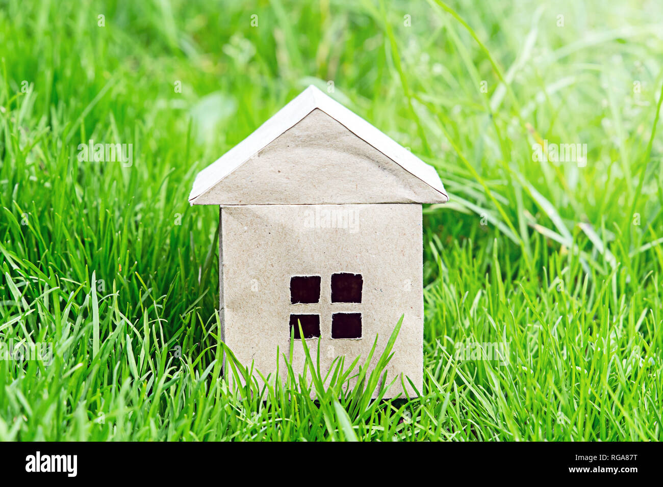 Pappe Haus im Gras. Bau von ökologischen Land Gehäuse Stockfoto