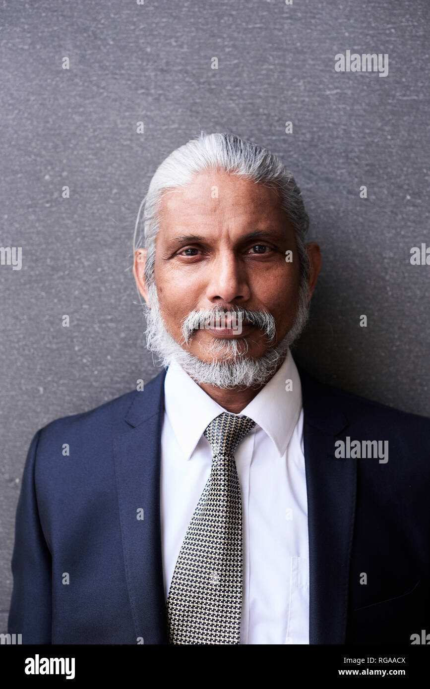 Portrait von älteren Geschäftsmann mit grauem Haar und Bart tragen Anzug und Krawatte Stockfoto