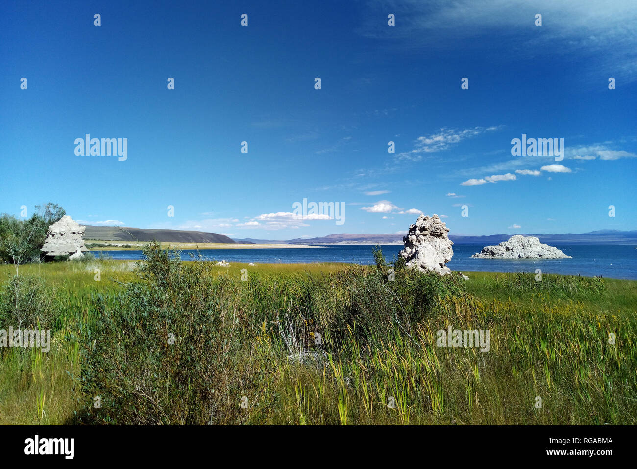 Ein kleiner Wald aus Tuffstein steigt vom Ufer des Mono Lake Stockfoto