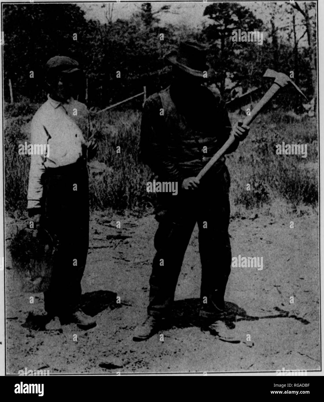 . Bulletin (Pennsylvania Abteilung der Forstwirtschaft), No. 25.-31. Die Wälder und die Forstwirtschaft. 10 DIE BEPFLANZUNG OPERATION 'TpHE Wurzeln müssen feucht zu halten. Wenn Sie den Baum zu trocknen erlaubt sind. Zwei Personen machen eine gute Bepflanzung Crew, eine Hacke man die Löcher zu graben und einer Pflanzmaschine die Bäume zu setzen. Graben der Löcher in den Zeilen. Der Abstand zwischen den Reihen, und auch der Abstand zwischen den Bäumen in jeder Zeile, ist in der Regel fünf bis sechs Fuß. Der Abstand wird abhängig von der Art der Bäume verwendet, die Qualität der Boden, und auf das, was jetzt in der Gegend. Wo der Boden nicht steinigen noch die sod schwer, ein Stockfoto