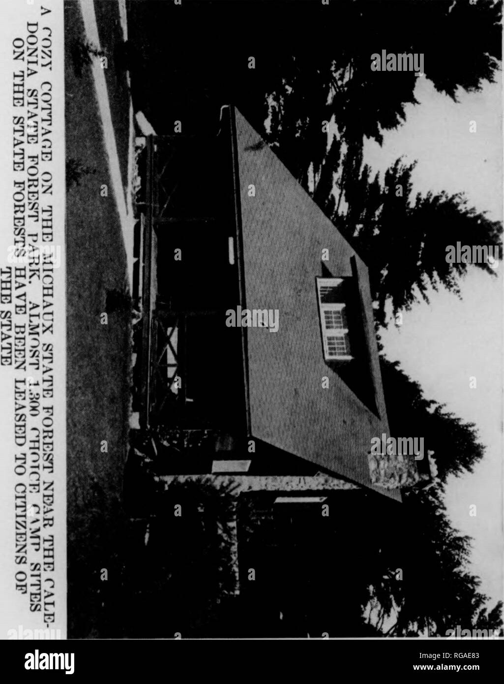 . Bulletin (Pennsylvania Abteilung der Forstwirtschaft), No. 31-33. Die Wälder und die Forstwirtschaft. 70 WIE ZU VERWENDEN, UM DEN ZUSTAND DER WÄLDER VON PENNSYLVANIA der Zustand von Pennsylvania besitzt jetzt 1,131,611 Hektar Wald Land. Sie sind herzlich eingeladen, über den Zustand der Wälder. Sie sind immer weit offen für den richtigen Gebrauch. Der Zustand der Wälder gehören den Bürgern des Staates. Sie werden von der Abteilung Wald und Wasser in ein Unternehmen verwaltet. Die primäre pur - der staatlichen Wälder Pose ist Holz zu produzieren, aber sie sind auch mit besonderer Berücksichtigung ihrer recrea zusätzliche Vorteile behandelt und zur Förderung der Gesundheit, zum Schutz der Flo Stockfoto