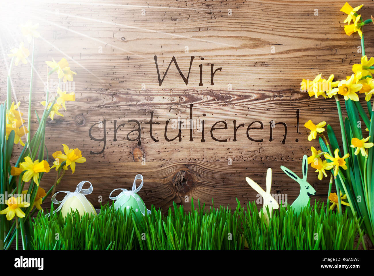 Sonnige Ostern Dekoration, Gras, Wir gratulieren: Herzlichen Glückwunsch! Stockfoto
