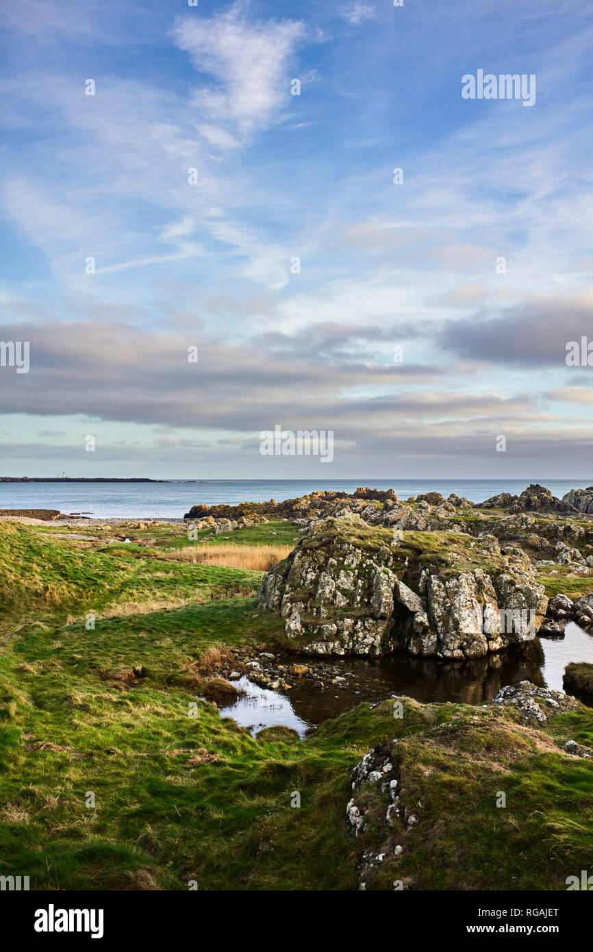 Felsen und Gras Blick aus Meer bei Scarlett, Insel Man zu Stockfoto