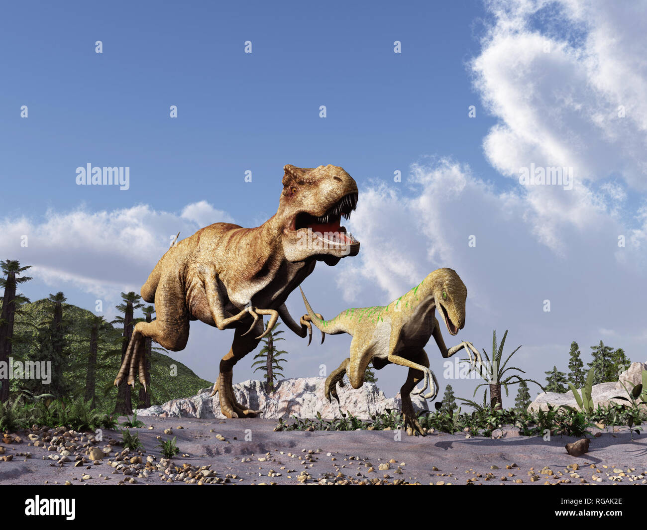 Tyrannosaurus Rex auf der Jagd nach einem velociraptor Stockfoto