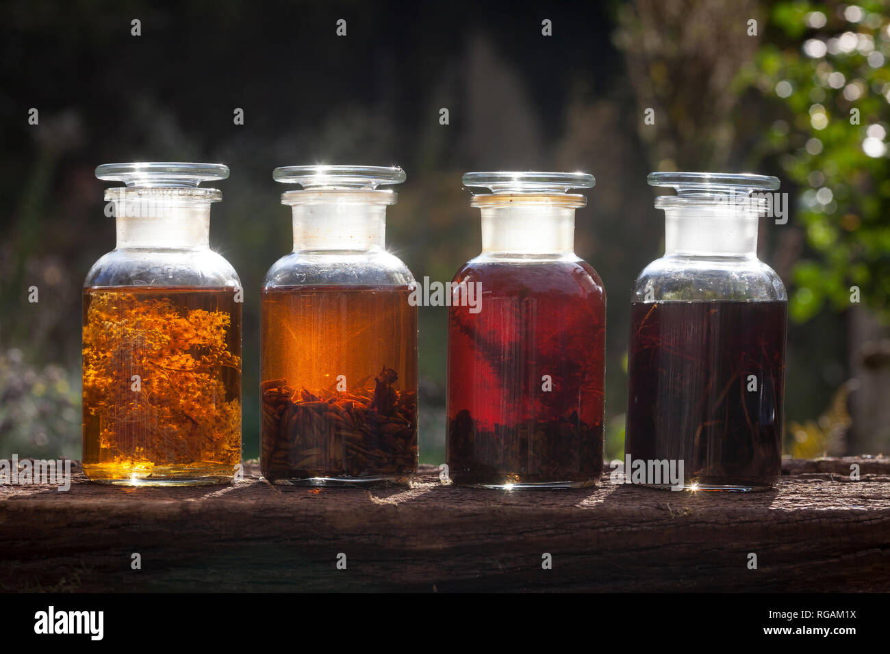 Tinkturen, Tinktur, alkoholischer Auszug, Tinktur, malen. Mädesüß - Tinktur - Tinktur, Mädesüßblüten, Mädesüss-Tinktur, Blütentinktur, Blütentinkturen, E Stockfoto