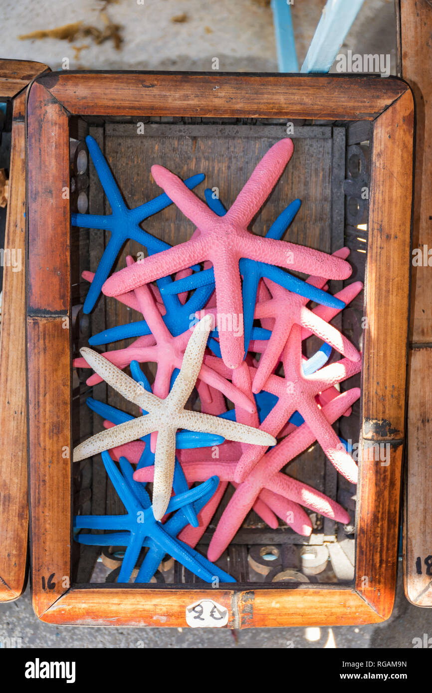 Star Fische auf dem Display in der Straße shop auf Symi Insel (Rhodos, Griechenland) Stockfoto