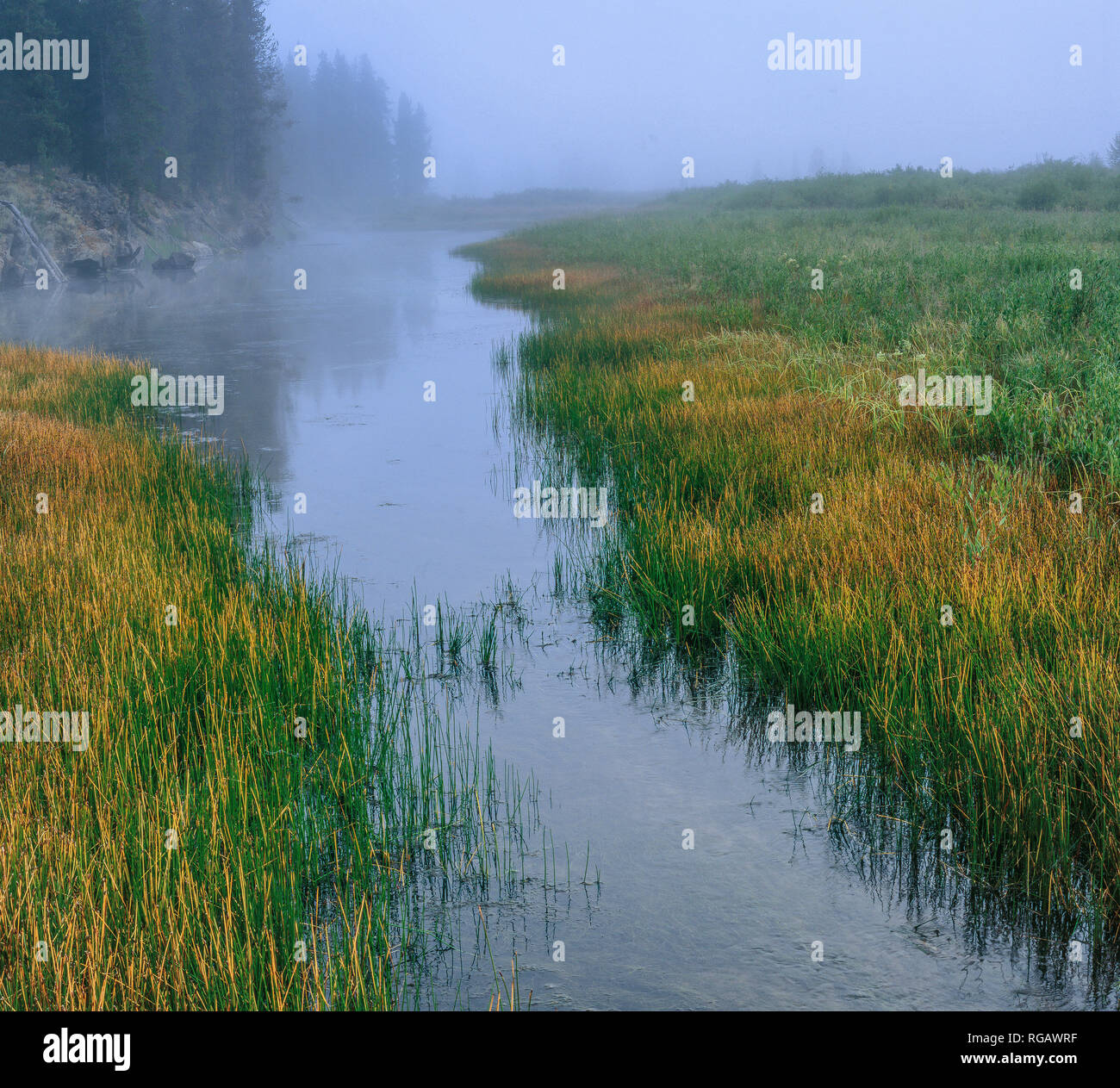 Snake River Basin, Rockefeller Parkway, neben dem Grand Teton und Yellowstone National Parks Stockfoto