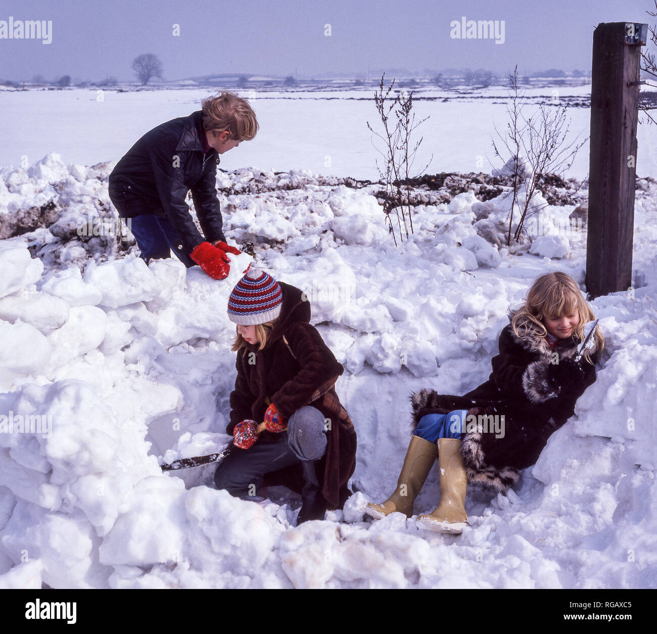 Zwei junge Mädchen und ein Junge, in tiefem Schnee, die versuchen, ein Iglu zu machen. Stockfoto