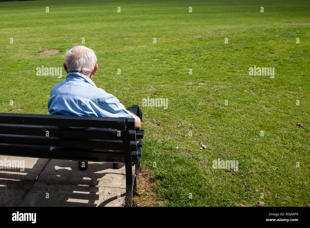 Alter Mann auf der Bank mit Blick auf einen Park im Sommer Stockfoto