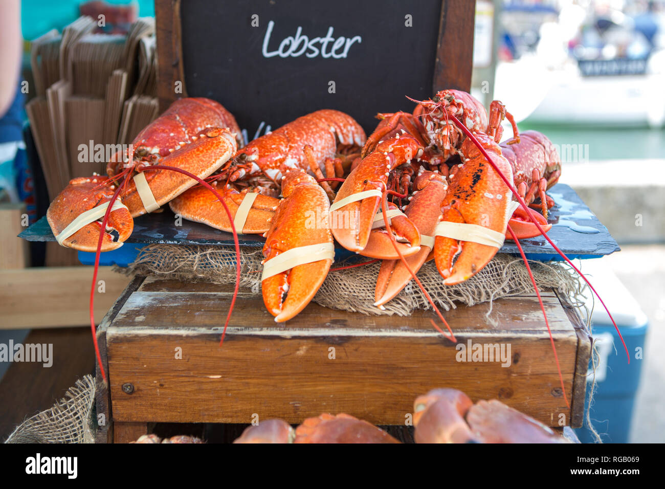 Dorset Food Festival 2018 in Weymouth Hafen Stockfoto